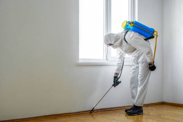 Best Pest Prevention Services  in Iron Mountain, MI